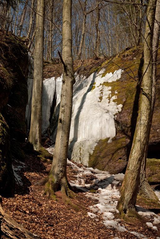 Saengerwiese Eisenach Værelse billede