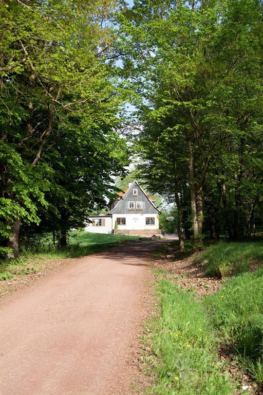 Saengerwiese Eisenach Værelse billede