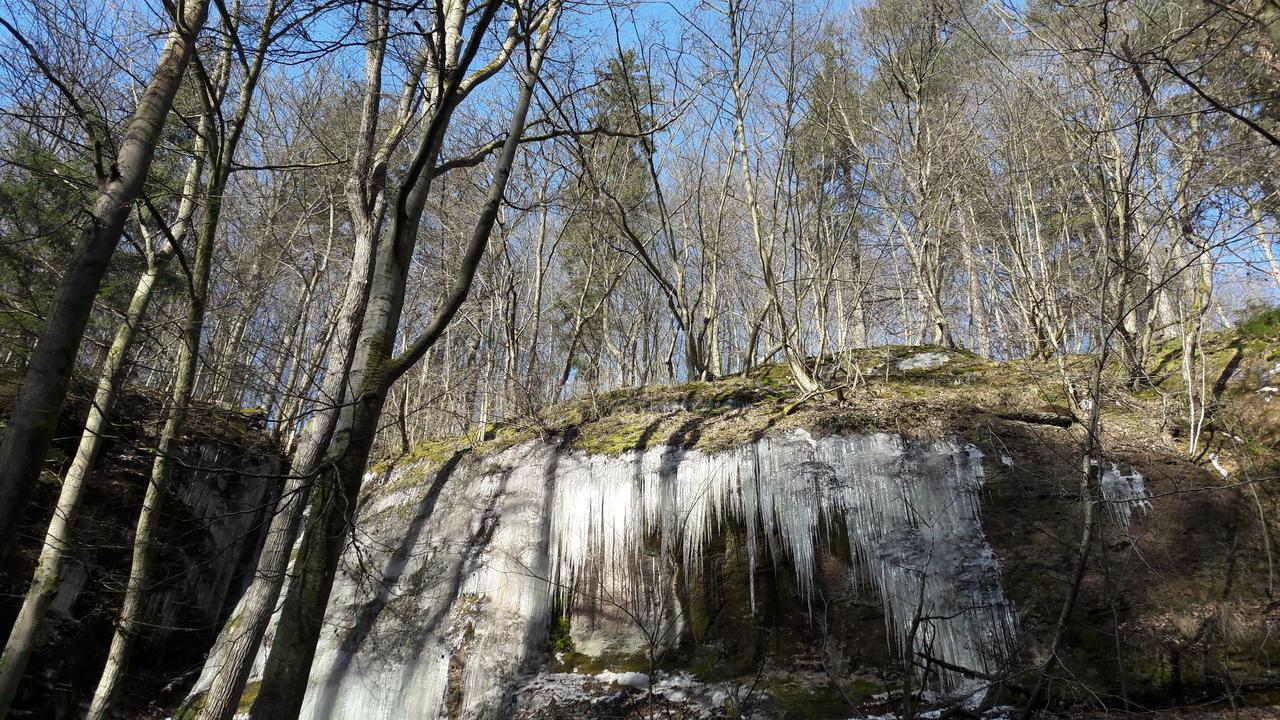 Saengerwiese Eisenach Eksteriør billede